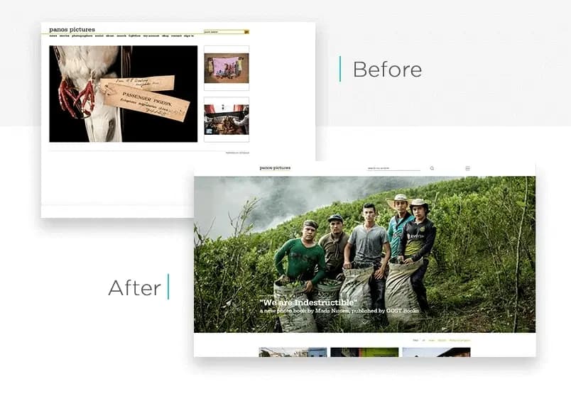 Website Redesign